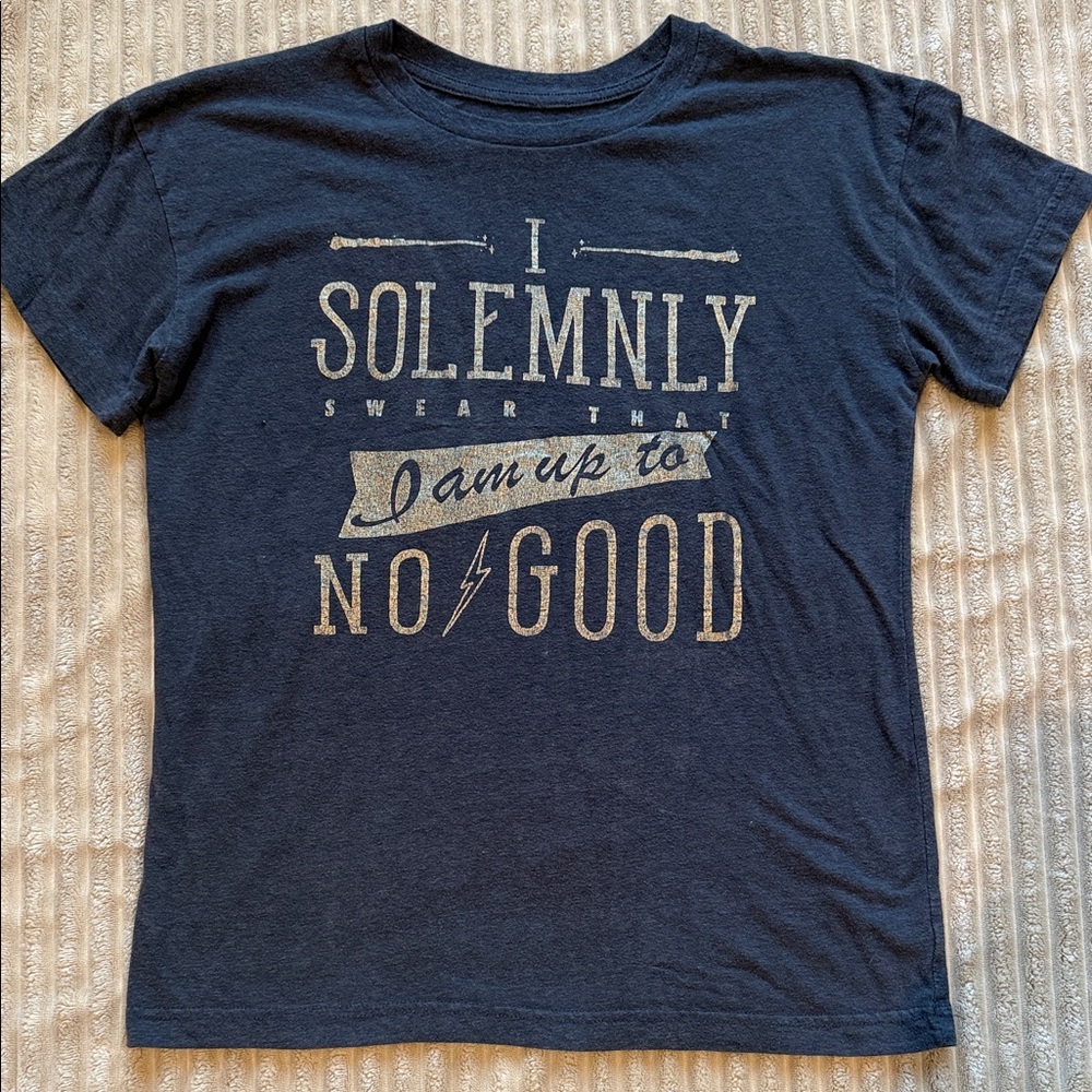 Warner Bros. Gray Tee with Gold 'I Solemnly Swear' Graphic